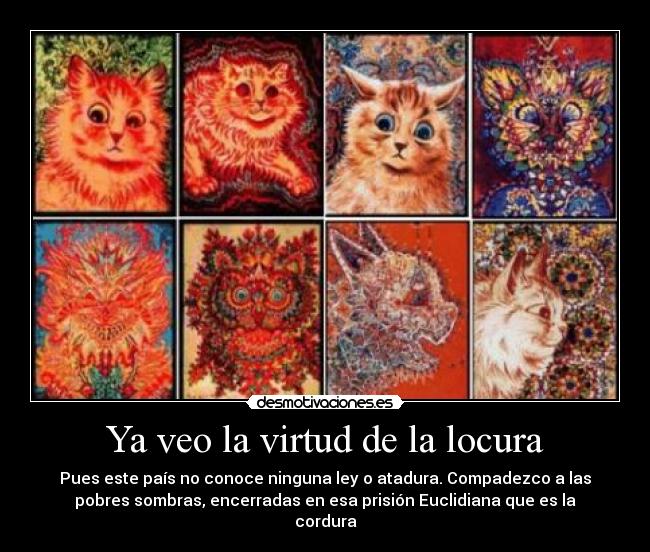 Ya veo la virtud de la locura - 
