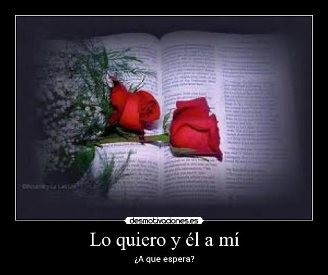 Lo quiero y él a mí - ¿A que espera?