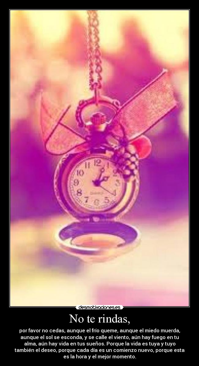 No te rindas, -