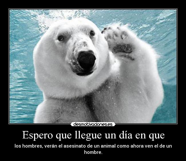 carteles alwayscool jijijijijij pobresillos los animales juuuuu gilipollas los que los matan que les den desmotivaciones