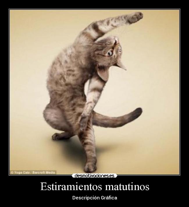 Estiramientos matutinos - 