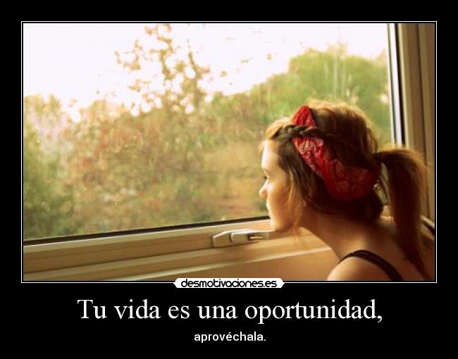 Tu vida es una oportunidad, -
