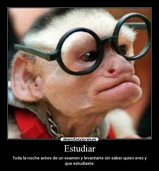 Estudiar - Toda la noche antes de un examen y levantarte sin saber quien eres y que estudiaste.
