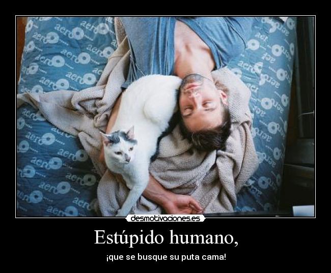 Estúpido humano, - ¡que se busque su puta cama!
