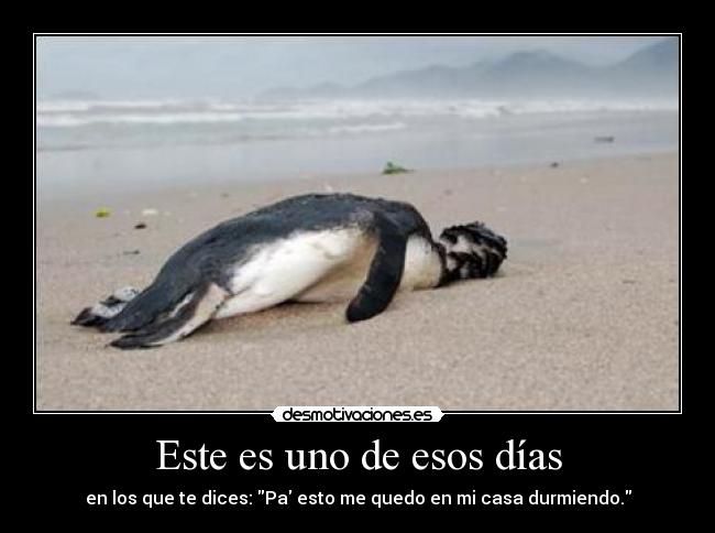 Este es uno de esos días - 