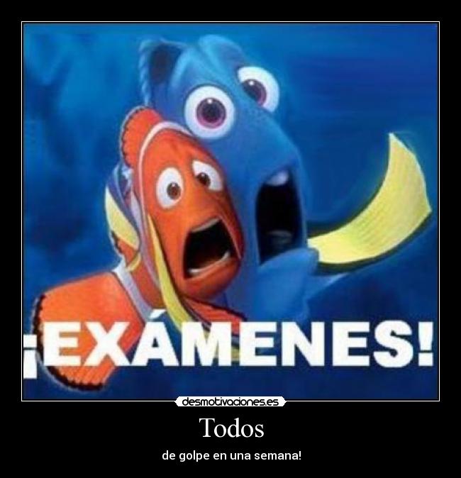 Todos - de golpe en una semana!