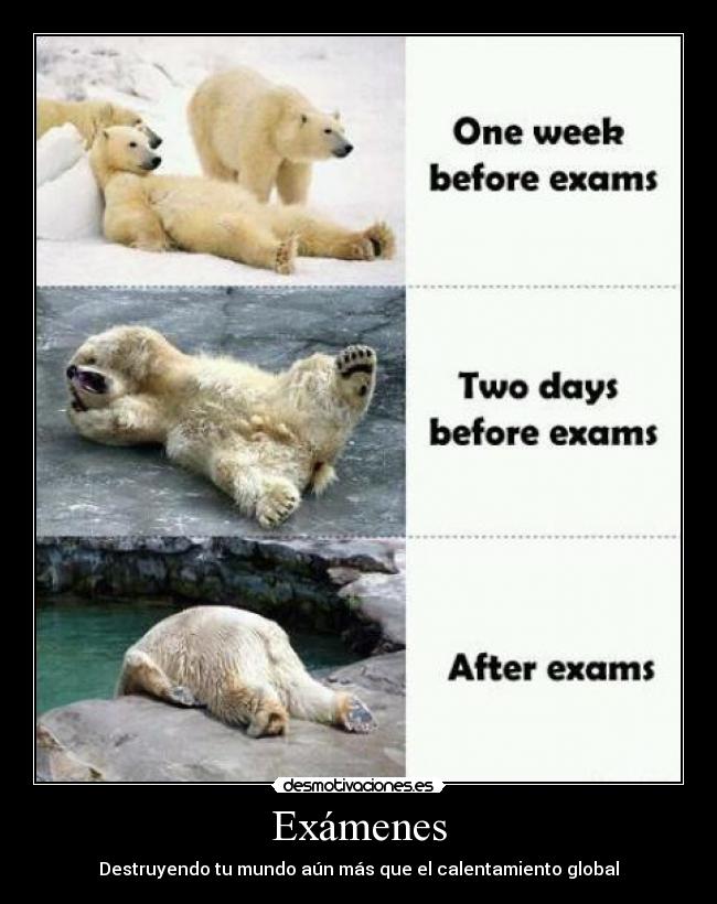 carteles examenes examenes tienen culpa que enamores desmotivaciones