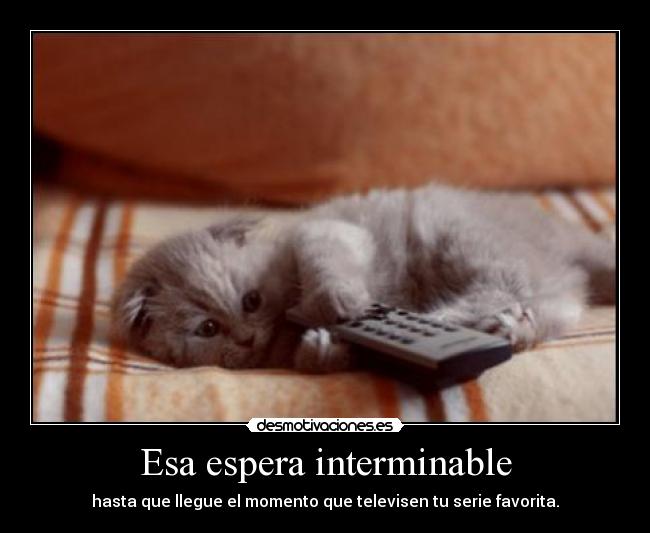 Esa espera interminable - hasta que llegue el momento que televisen tu serie favorita.