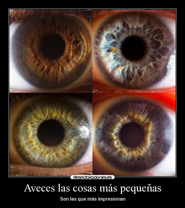 Aveces las cosas más pequeñas -