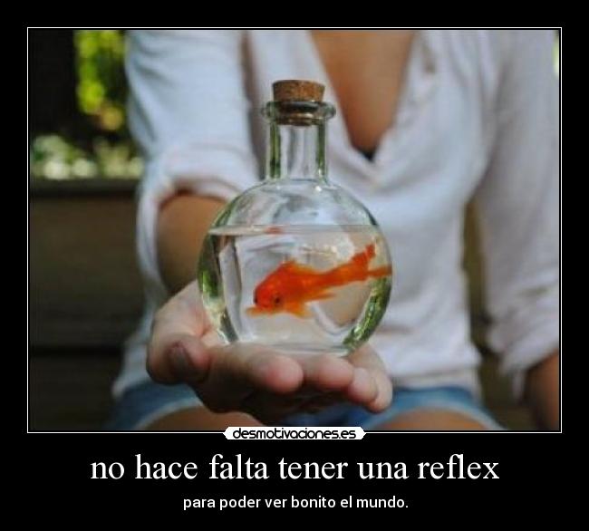 no hace falta tener una reflex - para poder ver bonito el mundo.