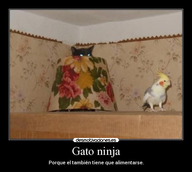 Gato ninja - Porque el también tiene que alimentarse.