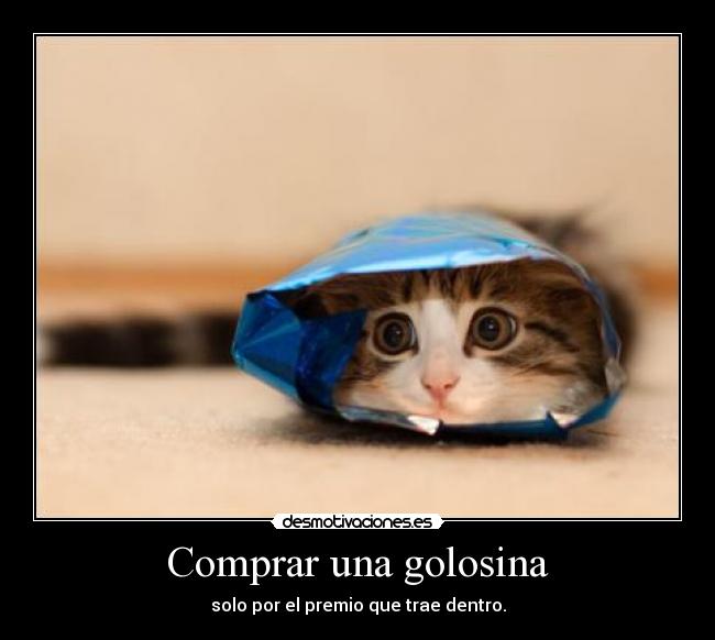 Comprar una golosina - solo por el premio que trae dentro.