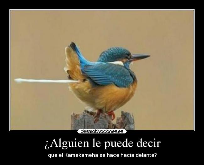 ¿Alguien le puede decir - que el Kamekameha se hace hacia delante?