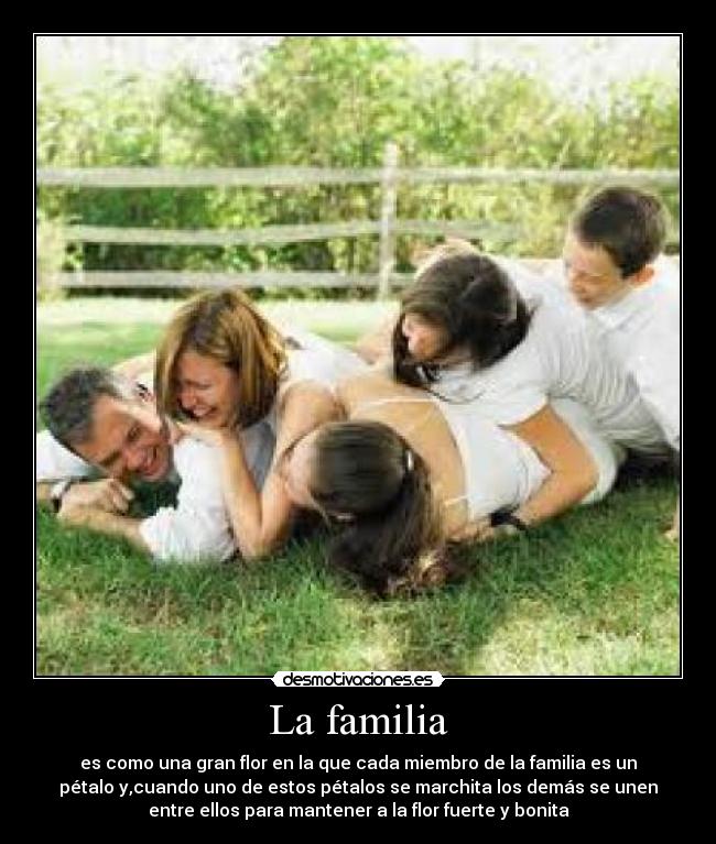 carteles familia todo desmotivaciones