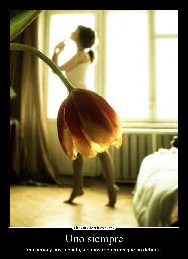 carteles lmartz desmotivaciones