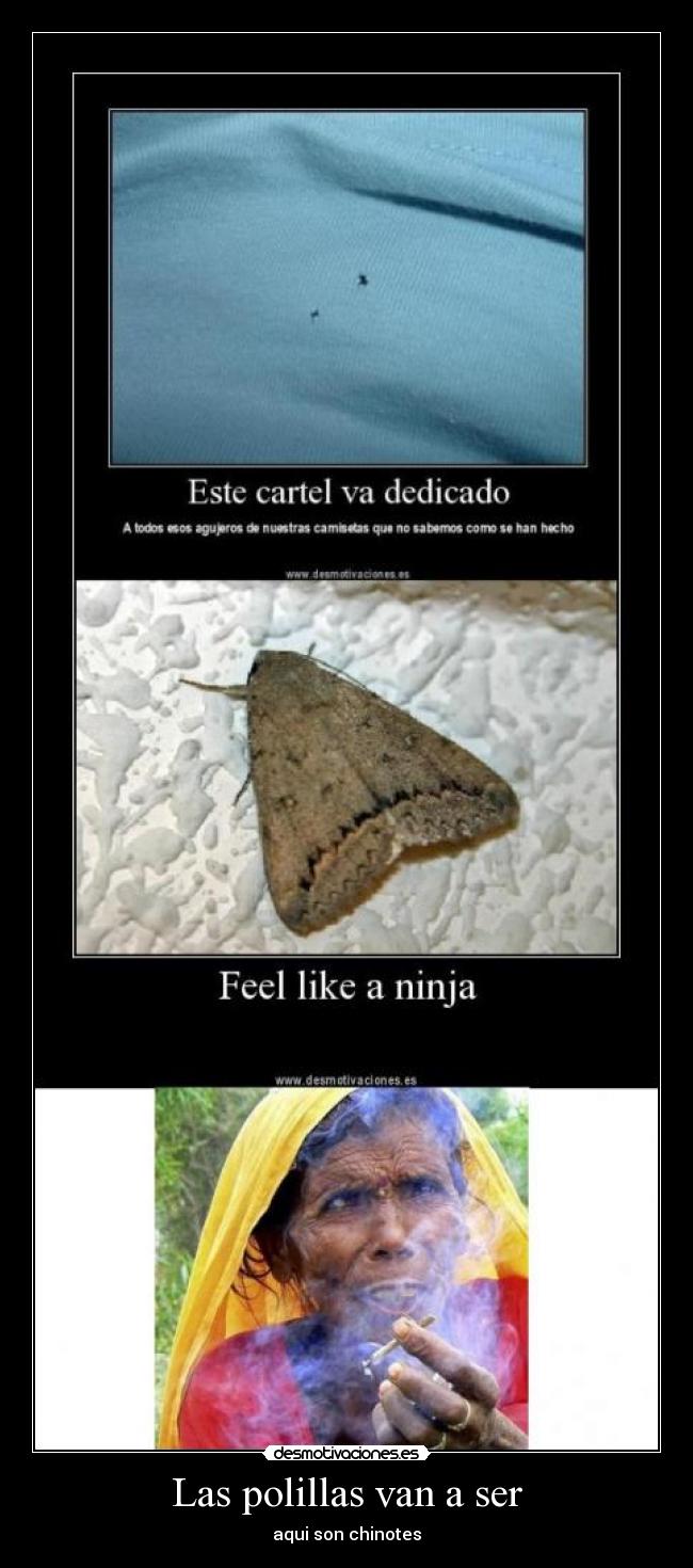 Las polillas van a ser -