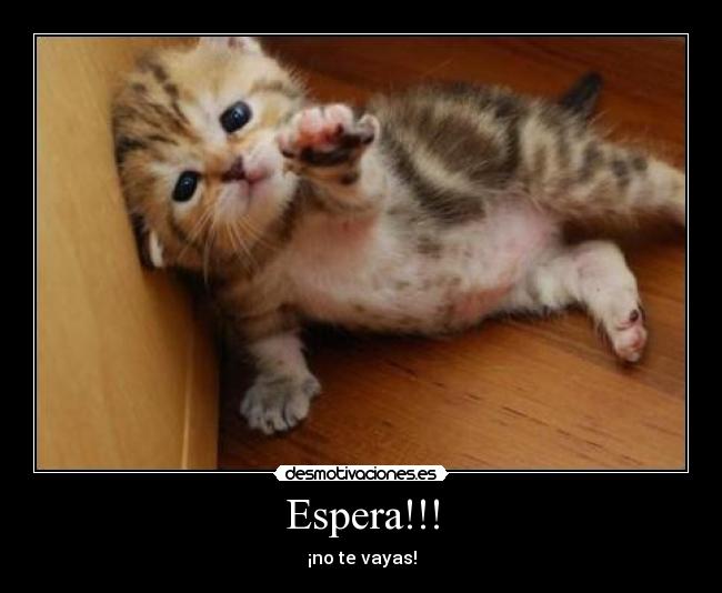 Espera!!! -