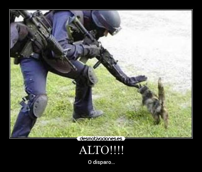 carteles xddddddd desmotivaciones