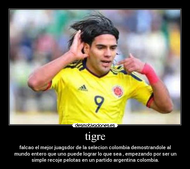 tigre -