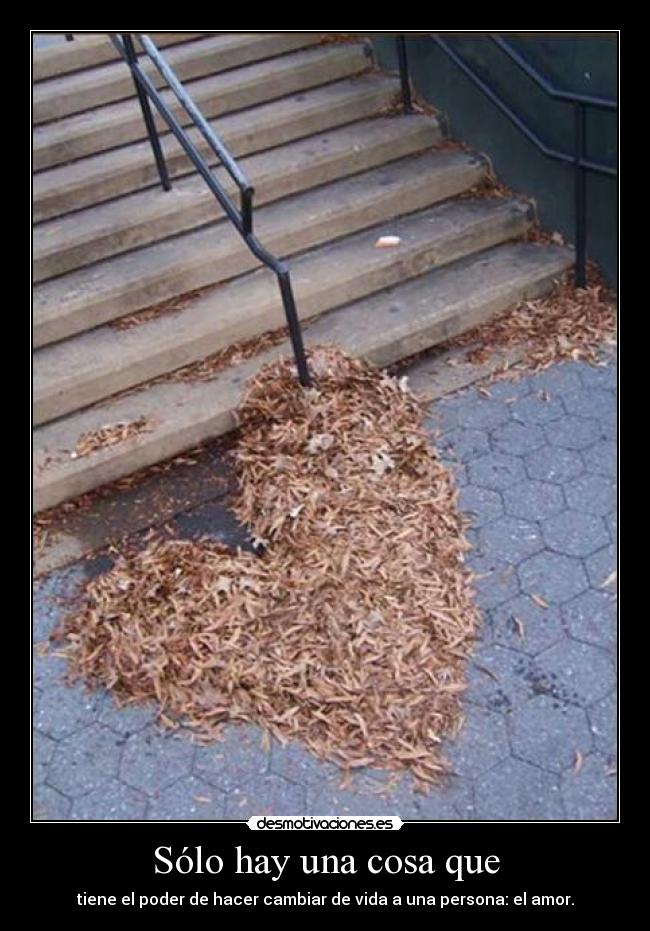 Sólo hay una cosa que - tiene el poder de hacer cambiar de vida a una persona: el amor.