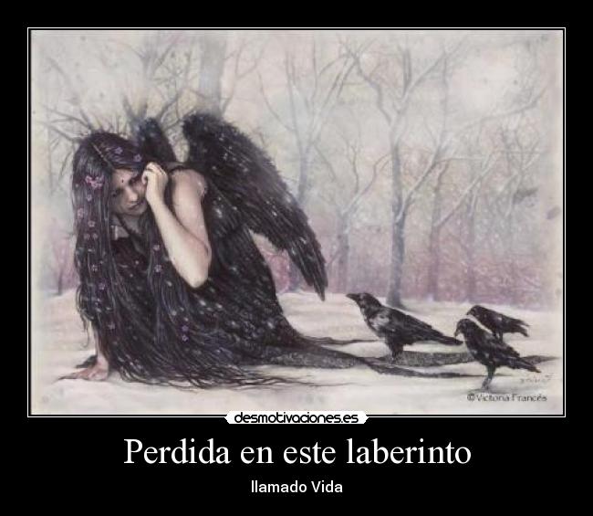 carteles vida favole desmotivaciones