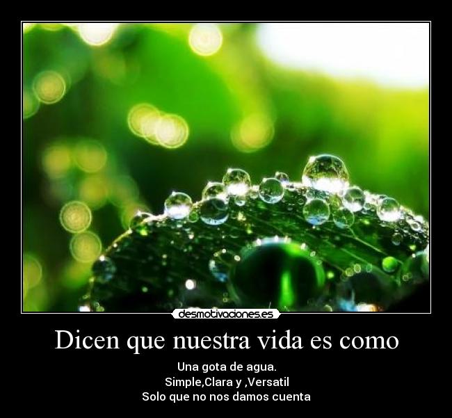 Dicen que nuestra vida es como - Una gota de agua.
Simple,Clara y ,Versatil
Solo que no nos damos cuenta