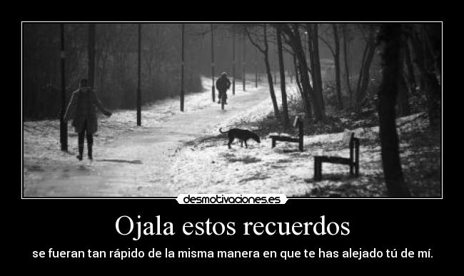 carteles recuerdos bulma272 olvido nada ese puto problema desmotivaciones