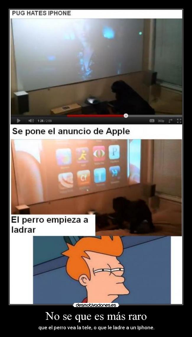 No se que es más raro - que el perro vea la tele, o que le ladre a un Iphone.