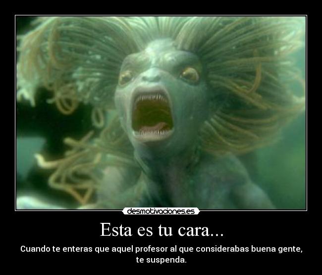 Esta es tu cara... - 