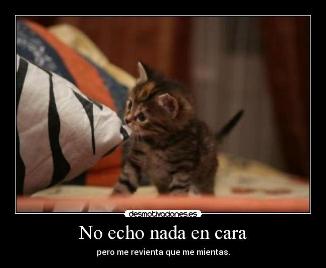 No echo nada en cara - pero me revienta que me mientas.