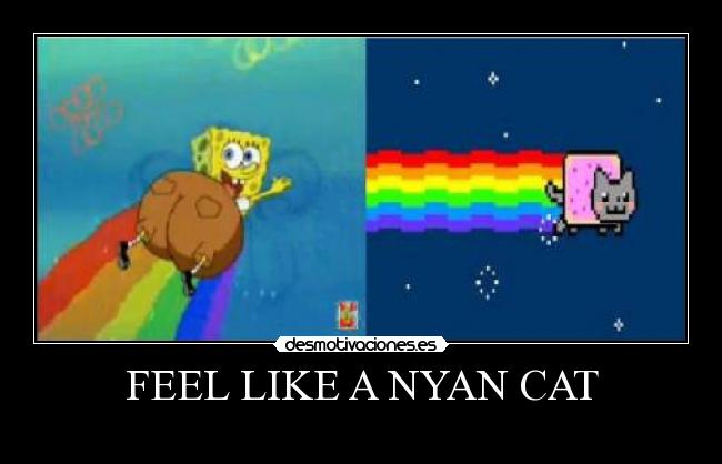 FEEL LIKE A NYAN CAT - 