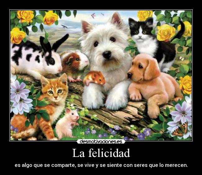 carteles felicidad animales felicidad brainer desmotivaciones