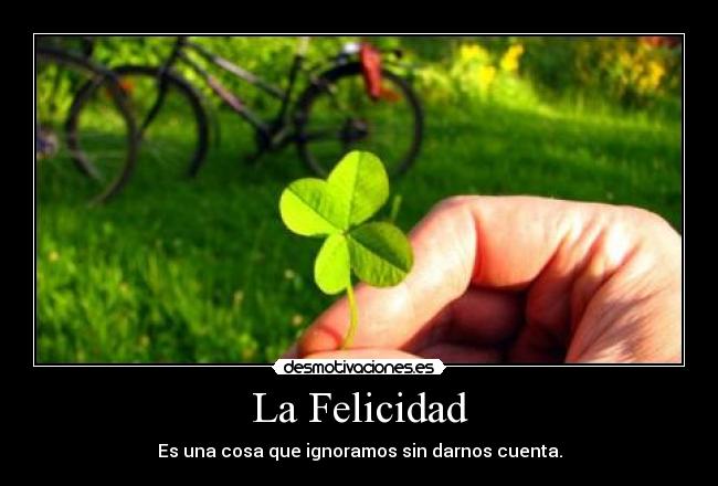 La Felicidad - Es una cosa que ignoramos sin darnos cuenta.