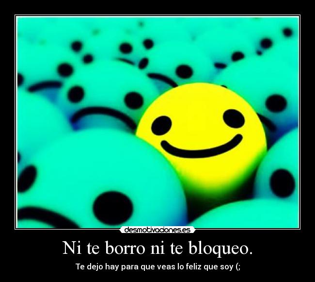 Ni te borro ni te bloqueo. - Te dejo hay para que veas lo feliz que soy (;