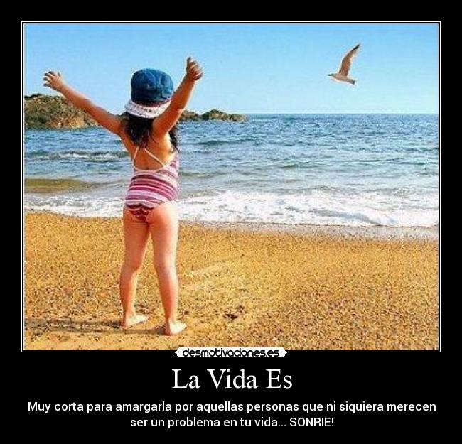 La Vida Es -
