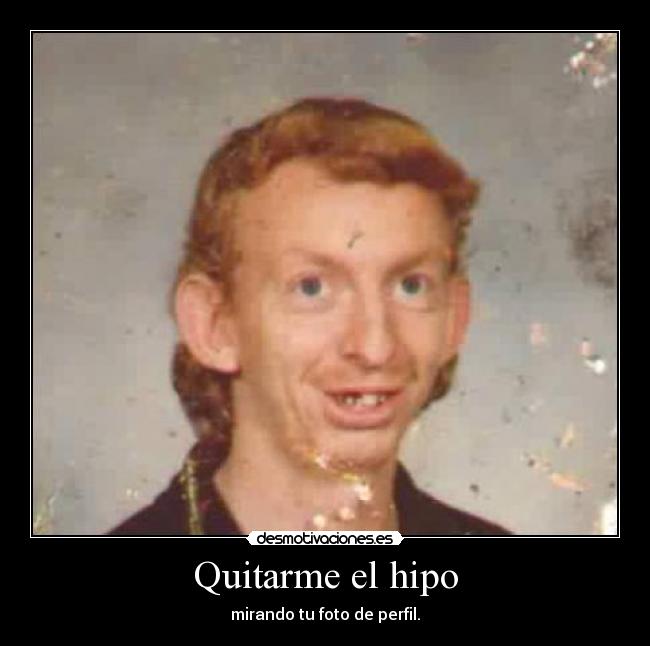 carteles hipo foto perfil desmotivaciones