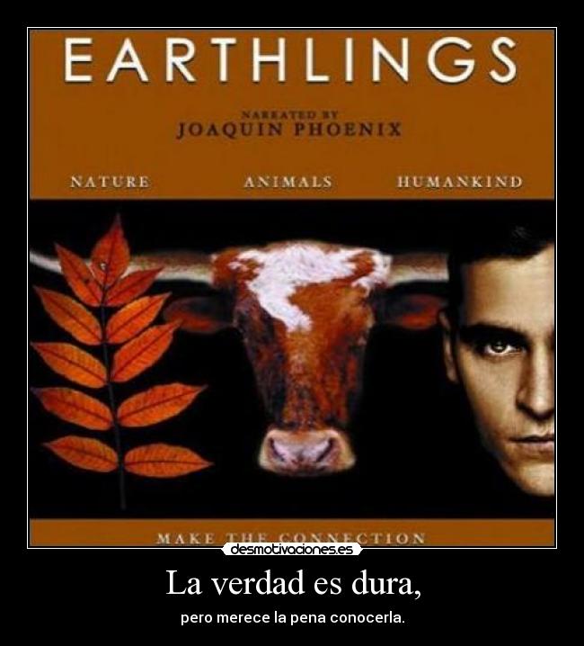 La verdad es dura, - pero merece la pena conocerla.