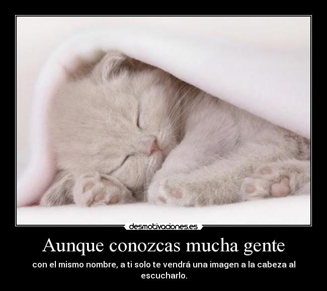 Aunque conozcas mucha gente - 