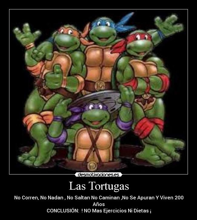 Las Tortugas - No Corren, No Nadan , No Saltan No Caminan ,No Se Apuran Y Viven 200 Años
CONCLUSIÓN:  ! NO Mas Ejercicios Ni Dietas ¡