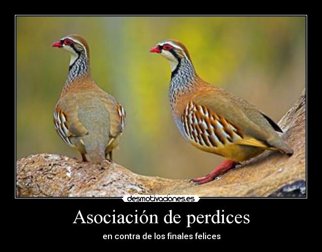 Asociación de perdices - en contra de los finales felices