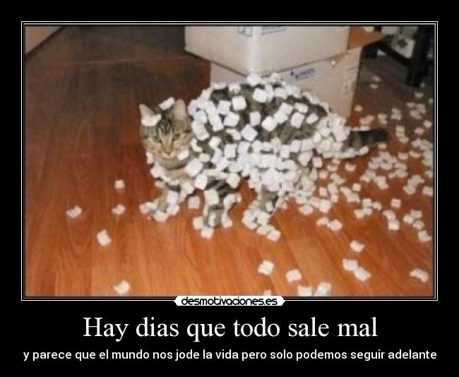 Hay dias que todo sale mal - y parece que el mundo nos jode la vida pero solo podemos seguir adelante