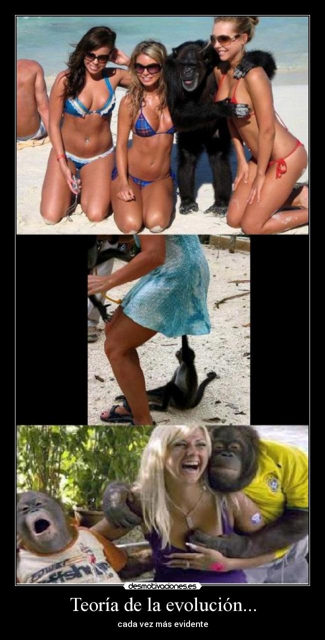 Teoría de la evolución... - cada vez más evidente