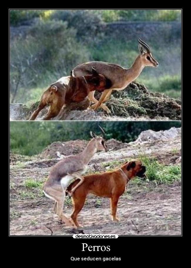 carteles wwwwwwwwwwwwwwwwwwwwwwwwwwwwwwwwwwwwwwwwwwwwwwwwwwwwwwwwwwwwwwwwwwwwwwwwwwwwwwwwwwwwwwwwwwwwwwwwwwww desmotivaciones