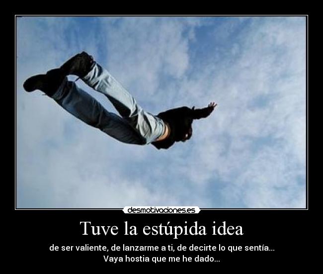 Tuve la estúpida idea - de ser valiente, de lanzarme a ti, de decirte lo que sentía...
Vaya hostia que me he dado...