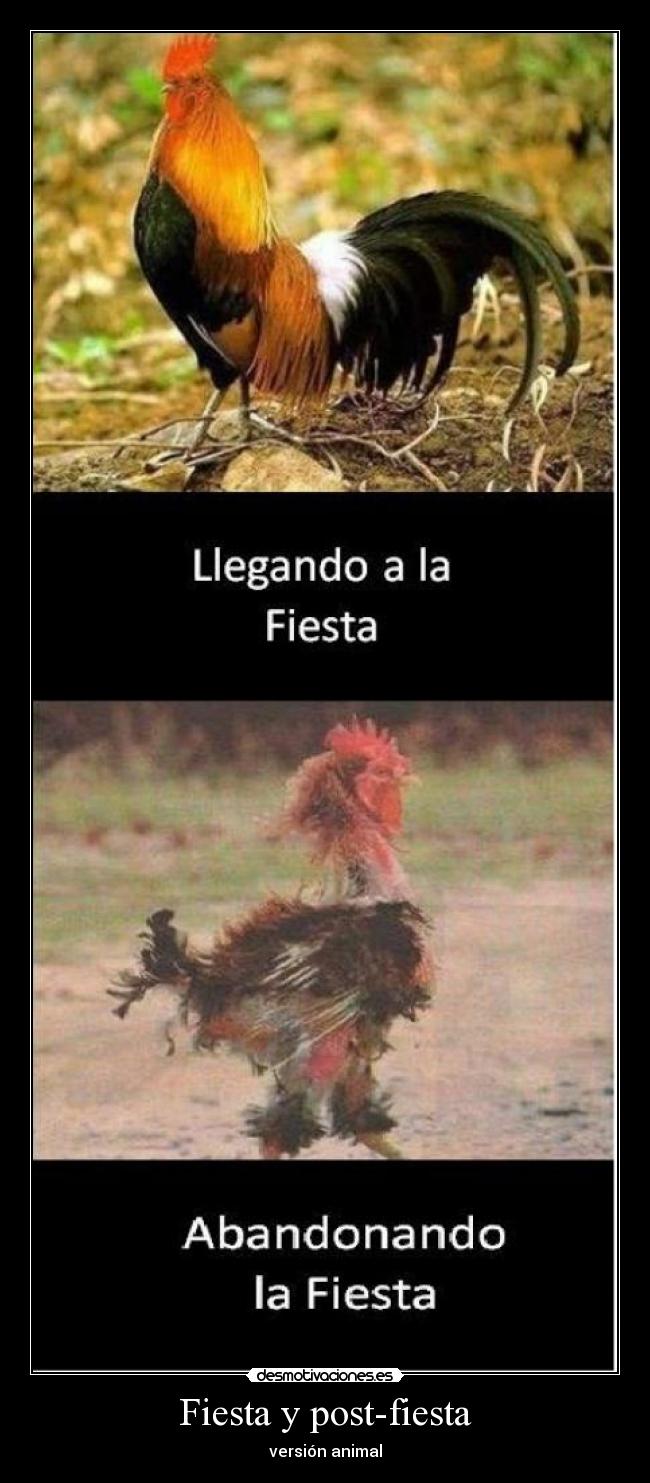 Fiesta y post-fiesta -