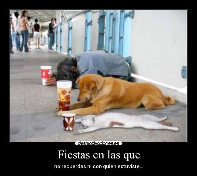 Fiestas en las que - no recuerdas ni con quien estuviste...