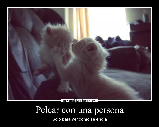 Pelear con una persona -