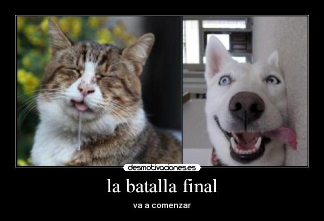 la batalla final -