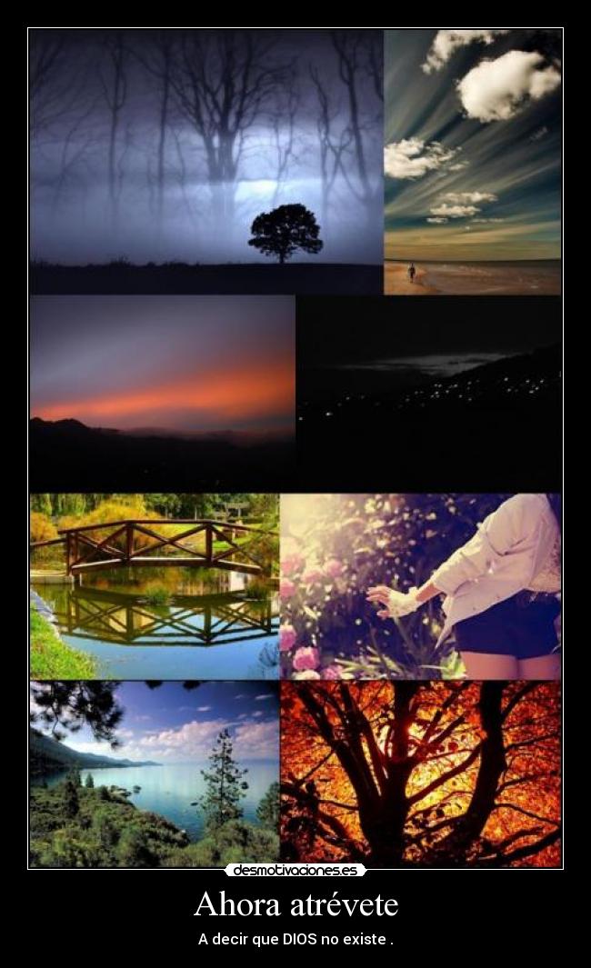 Ahora atrévete - A decir que DIOS no existe .