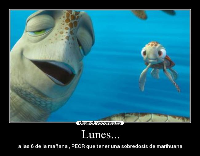 Lunes... - a las 6 de la mañana , PEOR que tener una sobredosis de marihuana